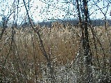 Cayuga County Trail; Fair Haven